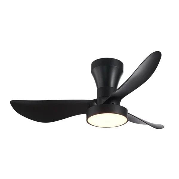 Ventilador PRO AIR negro